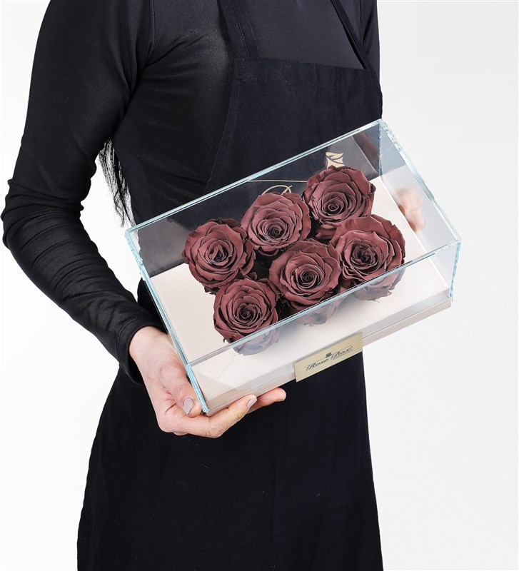 6 Cafe Mocha Brown Everlasting Roses in a Beige Box