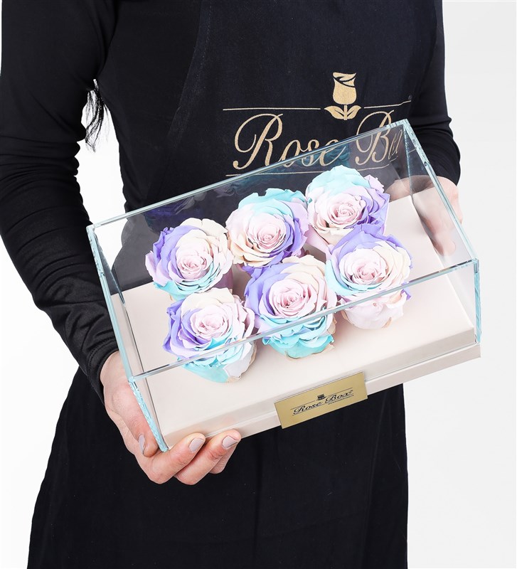 6 Powder Rainbow Everlasting Roses in a Beige Box