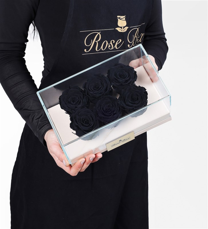 Six Black Everlasting Roses in a Beige Box
