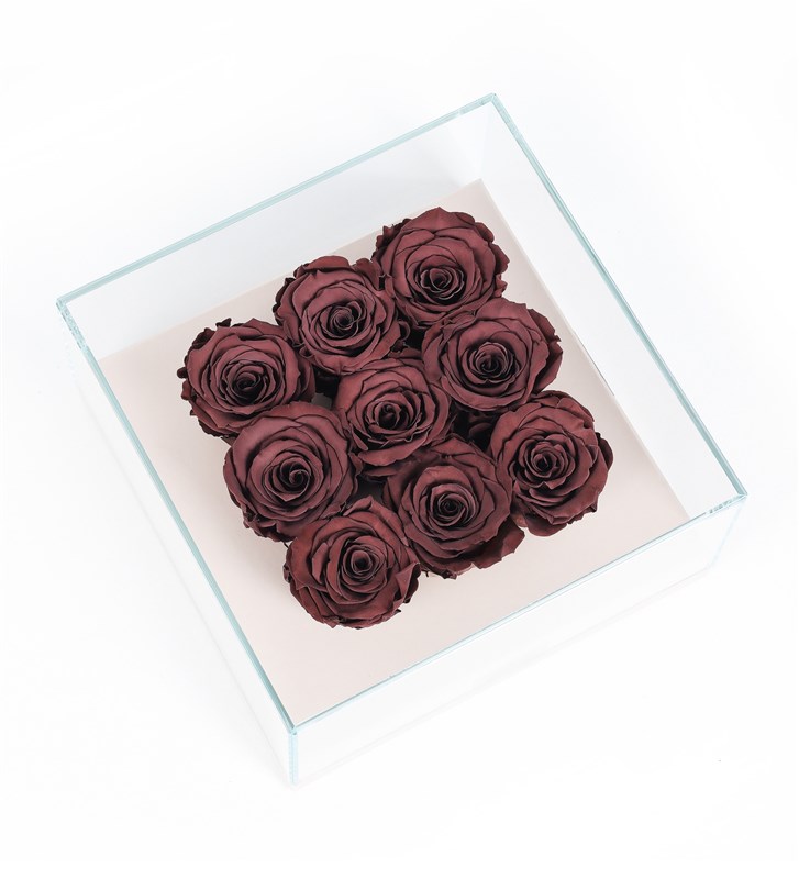 9 Cafe Mocha Brown Everlasting Roses in a Beige Box
