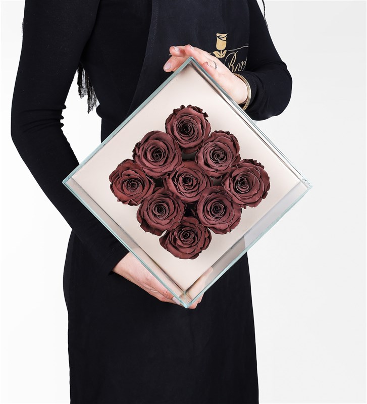 9 Cafe Mocha Brown Everlasting Roses in a Beige Box
