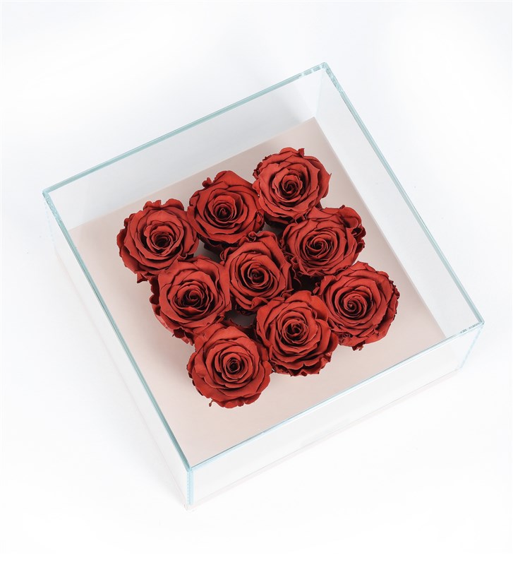 9 Caramel Everlasting Roses in a Beige Box