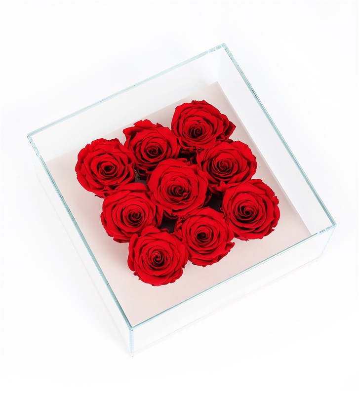 9 Red Everlasting Roses in a Beige Box