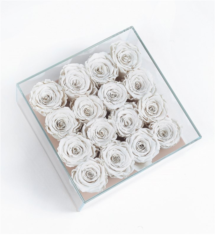 16 White Everlasting Roses in a Beige Box