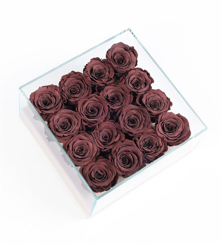 16 Brown Everlasting Roses in a Beige Box