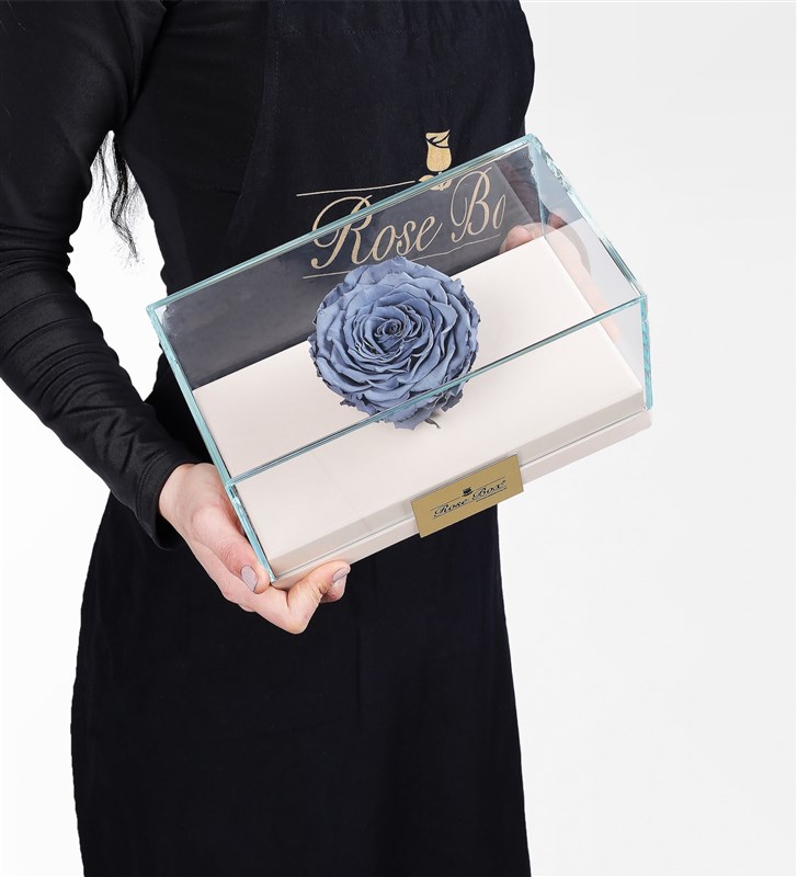 XXL Grey Everlasting Rose in a Beige Box