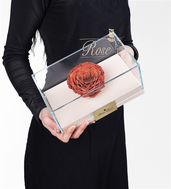 XXL Caramel Everlasting Rose in a Beige Box