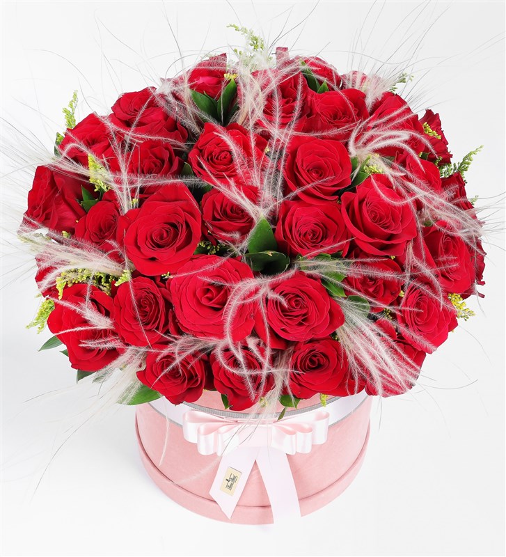 41 Red Roses and Pink Stippa in a Pink Velvet Box