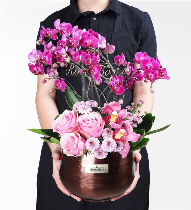 Purple Bellisimo Orchid Arrangement in a Copper Pot