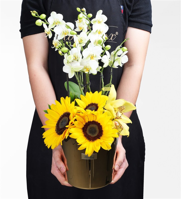 White Bougetto Orchid with Sunflowers in a Gold Glass Vase