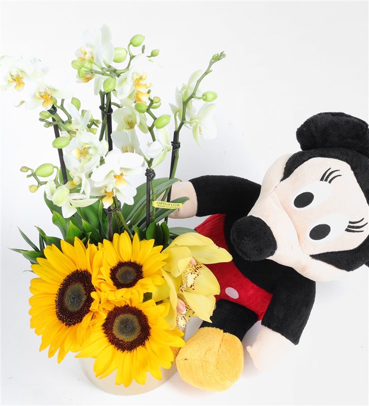 Mickey and Sunflower White Bougetto Orchid