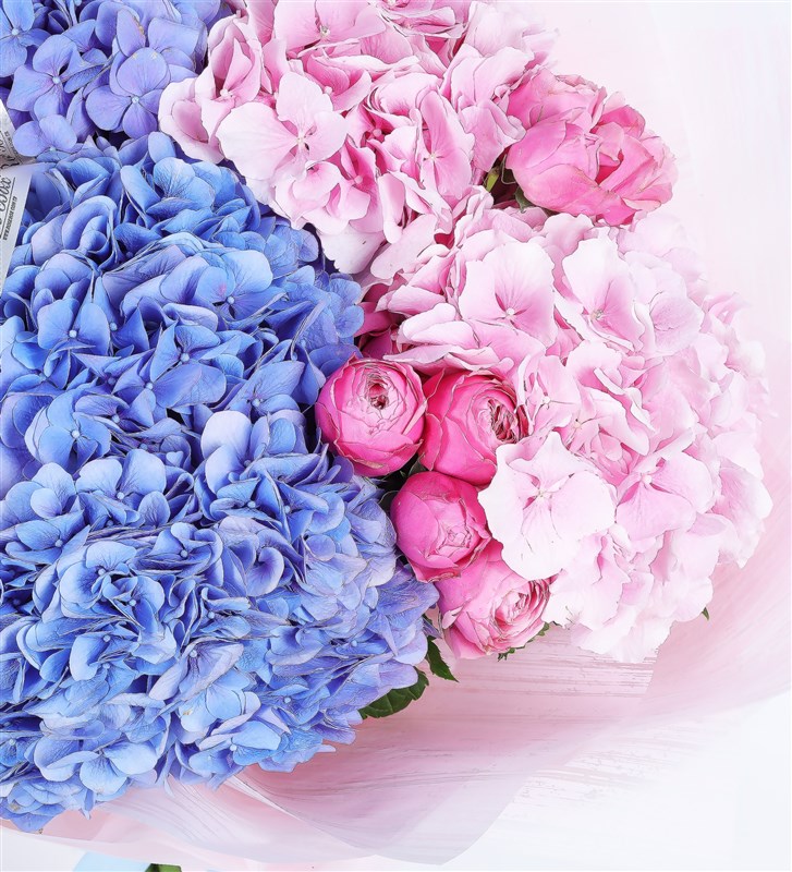 Large Bouquet of Pink and Blue Hydrangeas and Silvia Pink Garden Roses