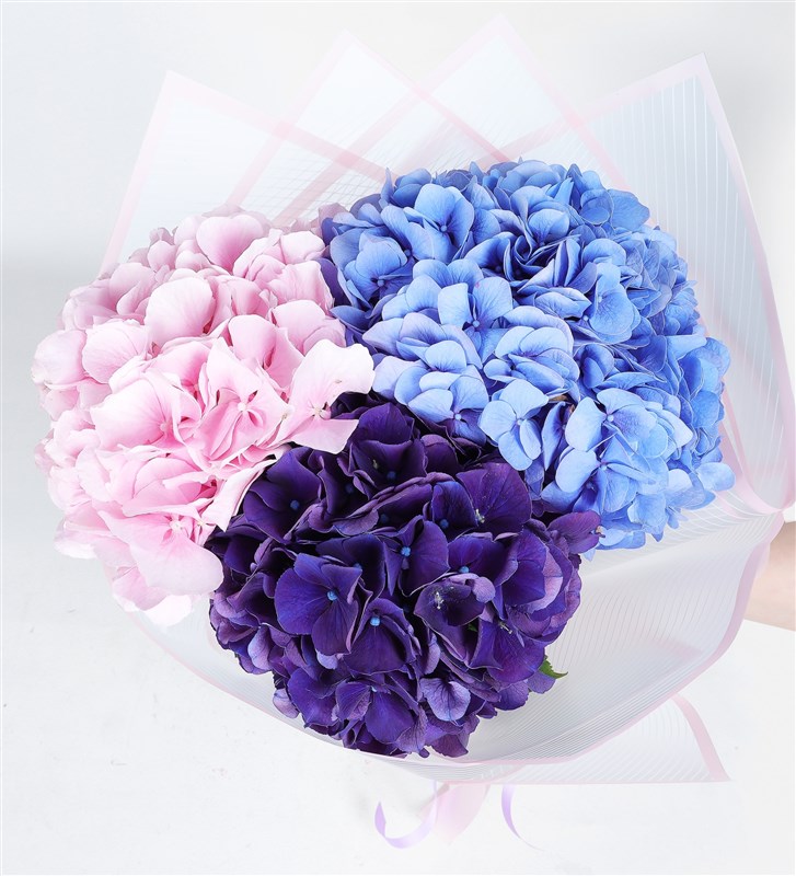 Pink, Purple, Blue Hydrangea Bouquet