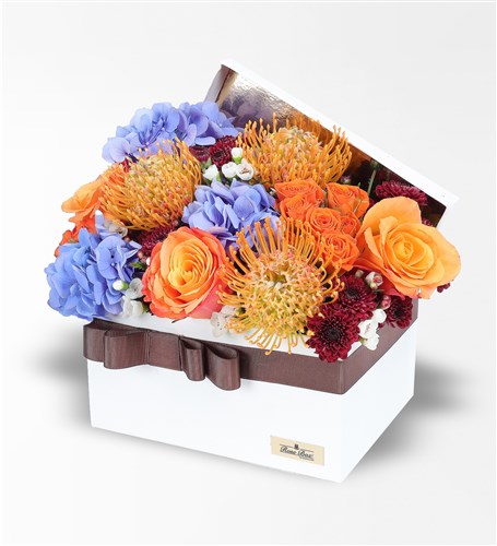 Wild Bloom In Box - Blue Hydrangea, Lecuspermum, Orange Ecuadorian Roses, Galaxy Tulip and Prupetta Red Santini in a Box