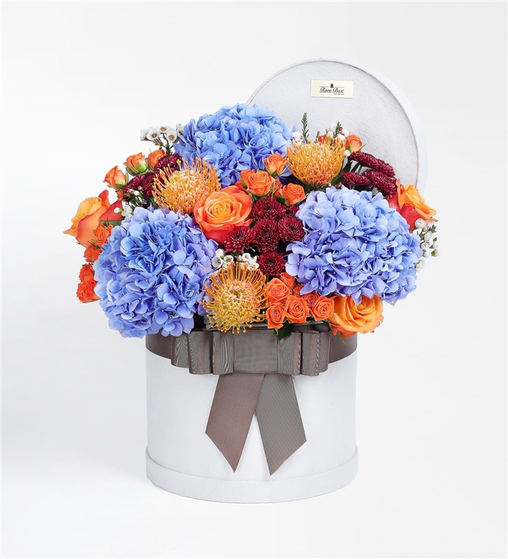 HOLIDAY FLOWER BIG COLLAR MINI ブルー Wild Bloom XL In Box & Lure Chocolate By Swissôtel 24'lü
