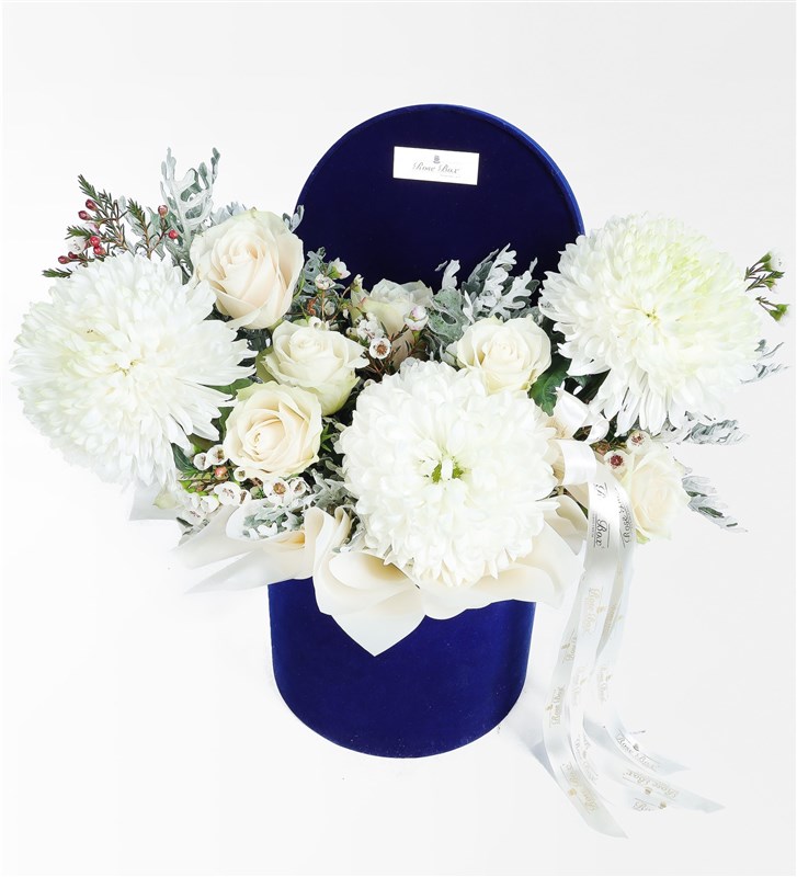 White Anastasia, Rose and Dusty Miller in a Navy Velvet Box