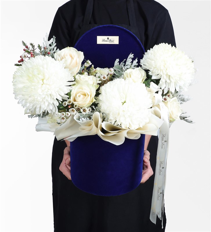 White Anastasia, Rose and Dusty Miller in a Navy Velvet Box