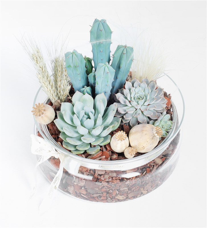 Ice Garden Terrarium