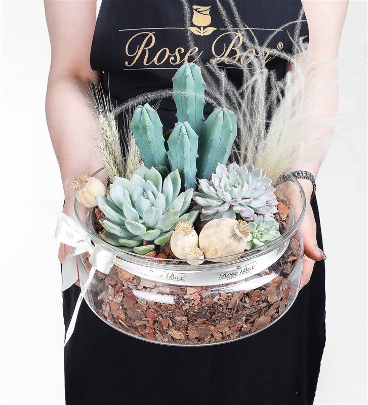 Ice Garden Terrarium