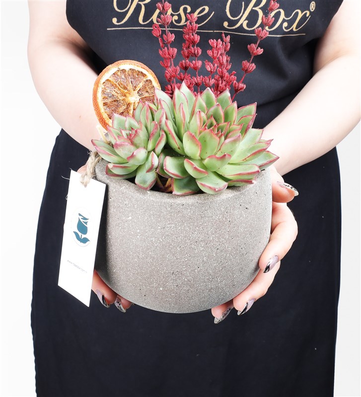 Orange Garden Terrarium
