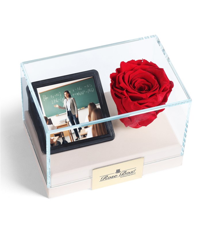 Teacher's Day: Personalized Glass Box with Photo, 1 Red Everlasting Rose