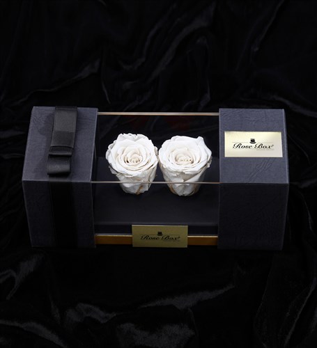 Double White Everlasting Rose