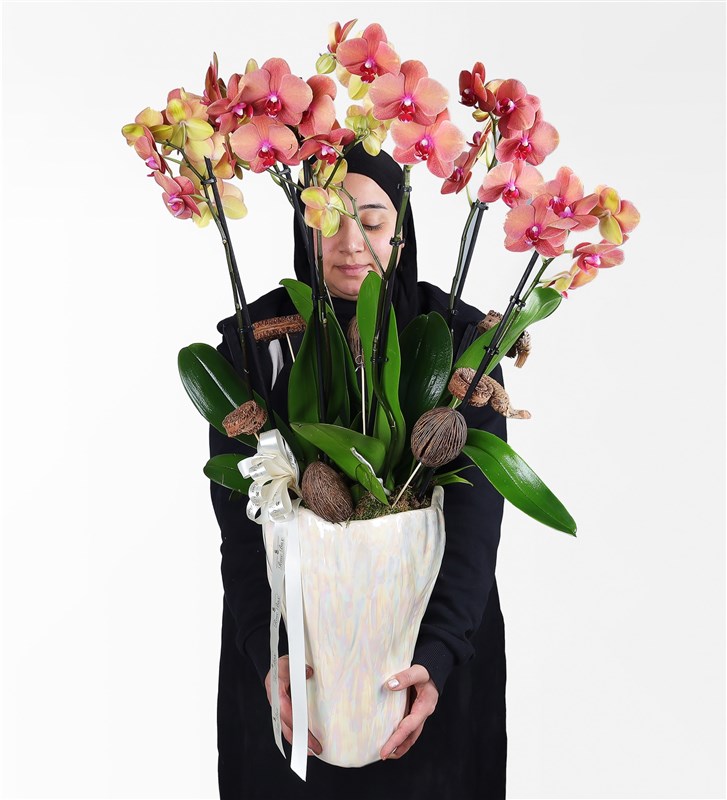 Giant Orchid Arrangement in Mother of Pearl Vase with 6 Branches