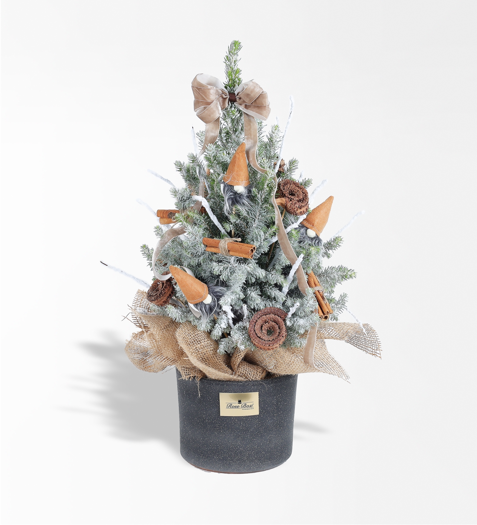 Tarçın Cocos ve Noel Baba Figürlü 50 Cm Işıklı Çam Ağacı