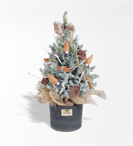 Tarçın Cocos ve Noel Baba Figürlü 50 Cm Işıklı Çam Ağacı