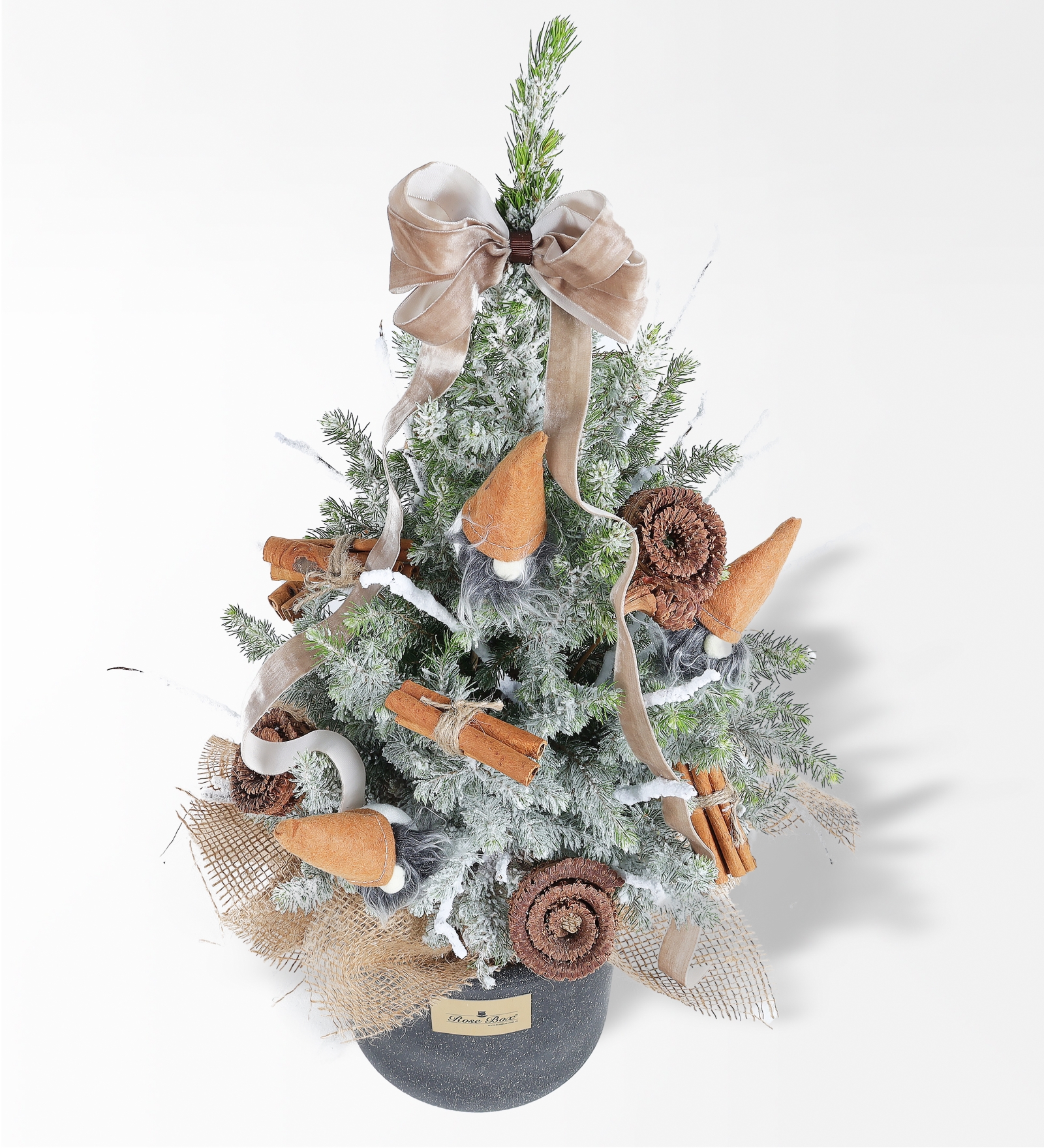 Tarçın Cocos ve Noel Baba Figürlü 50 Cm Işıklı Çam Ağacı