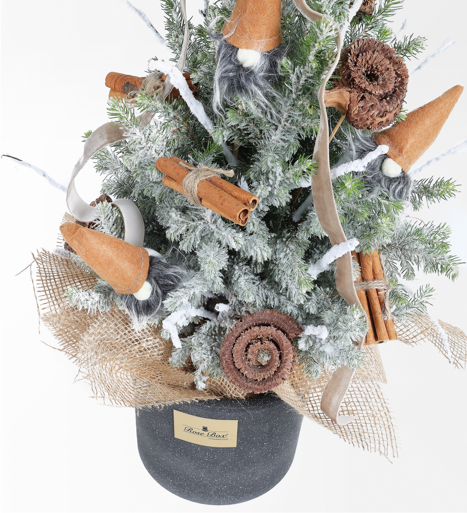 Tarçın Cocos ve Noel Baba Figürlü 50 Cm Işıklı Çam Ağacı