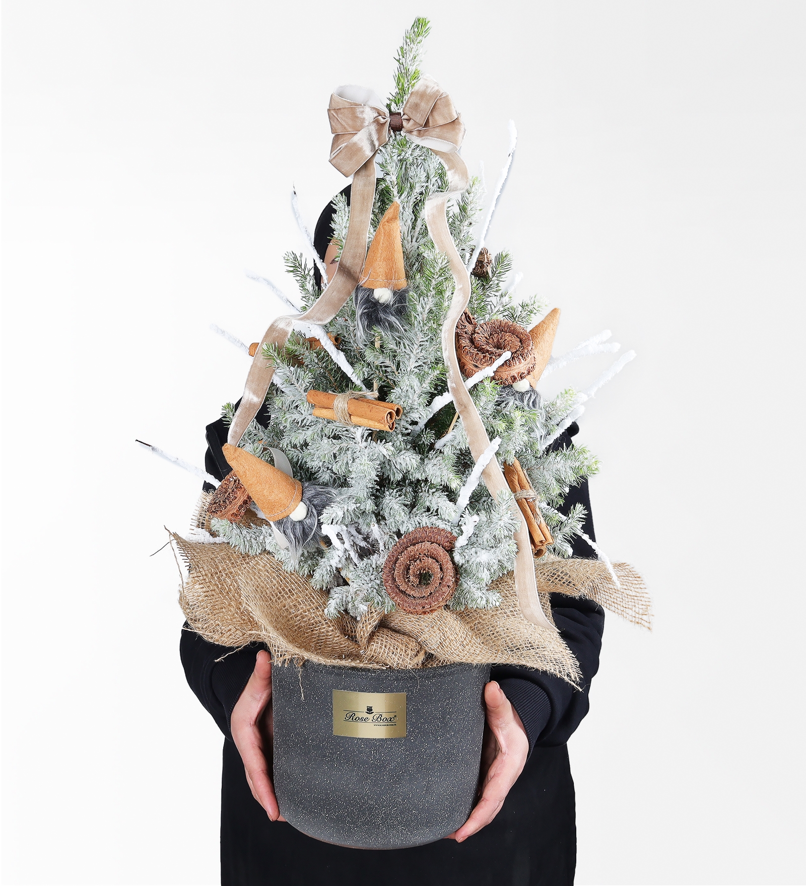 Tarçın Cocos ve Noel Baba Figürlü 50 Cm Işıklı Çam Ağacı