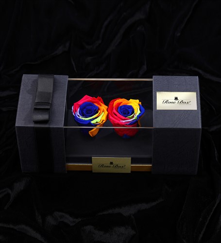 Double Rainbow Everlasting Rose