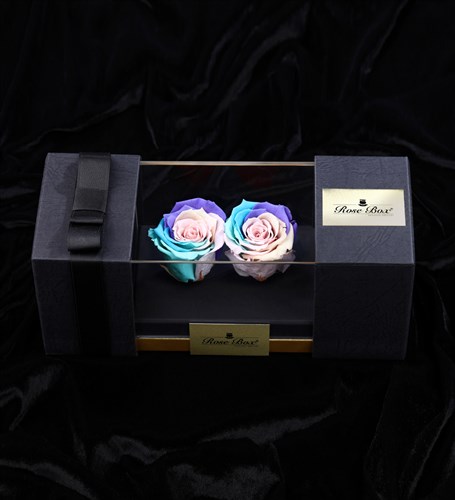 Dual Powder Rainbow Everlasting Rose