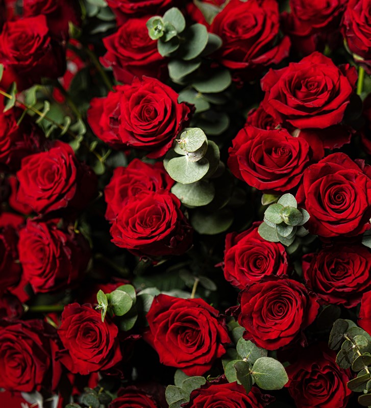 Premium Giant Box with 1.5 Meter Heart-Shaped Rose Arrangement