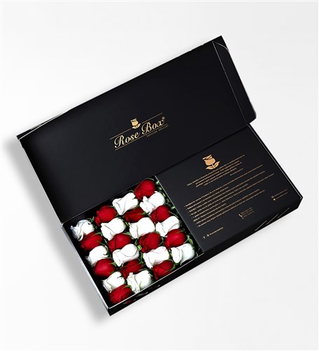 Royal - 24 Red and White Roses in a Black Box