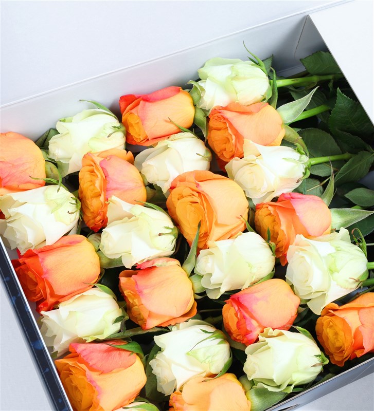 Sapphire - 24 Orange and White Roses