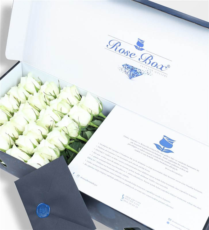 24 White Roses in a Sapphire Box