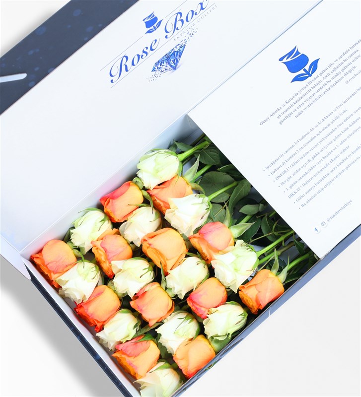 Sapphire - 24 Orange and White Roses
