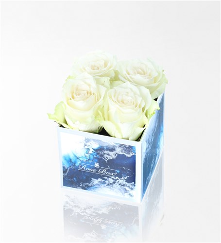 Aquamarine Mini Box with 4 White Roses