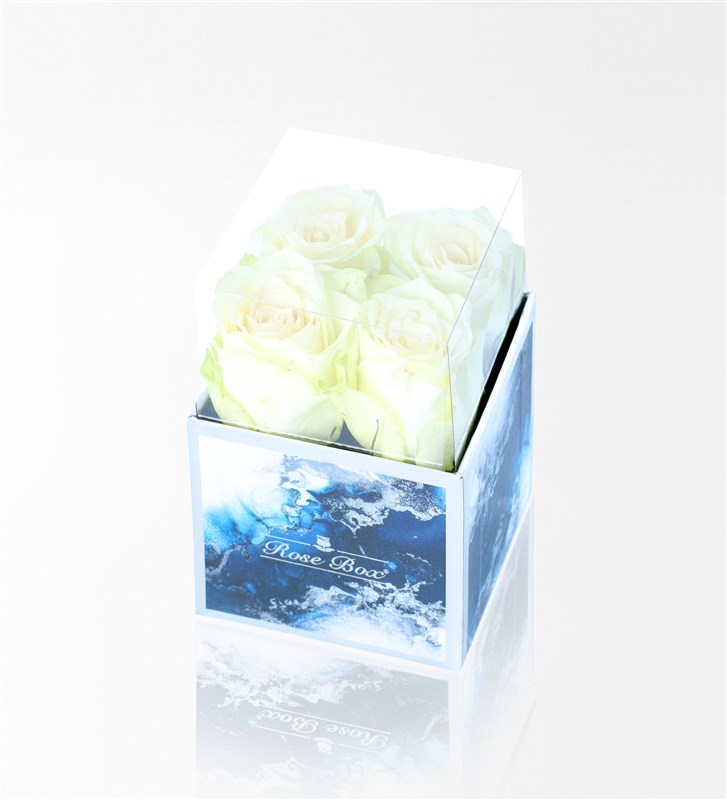 Aquamarin Mini Kutuda 4'Lü Beyaz Gül