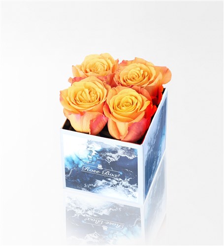 Aquamarin Mini Kutuda 4'Lü Turuncu Gül