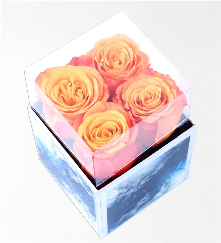 Aquamarine Mini Box with 4 Orange Roses