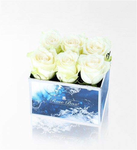 Aquamarine Midi Box with 6 White Roses