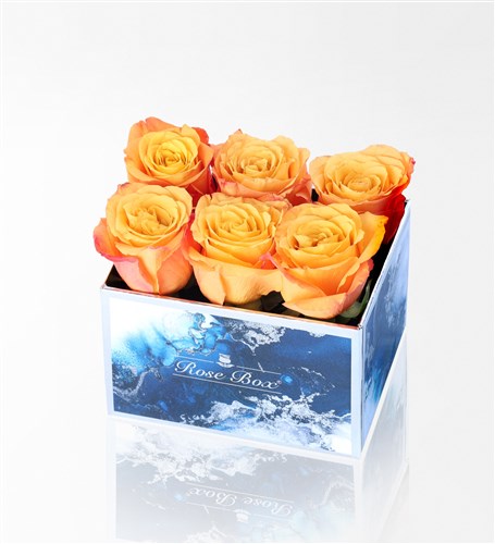 Aquamarine Midi Box with 6 Orange Roses