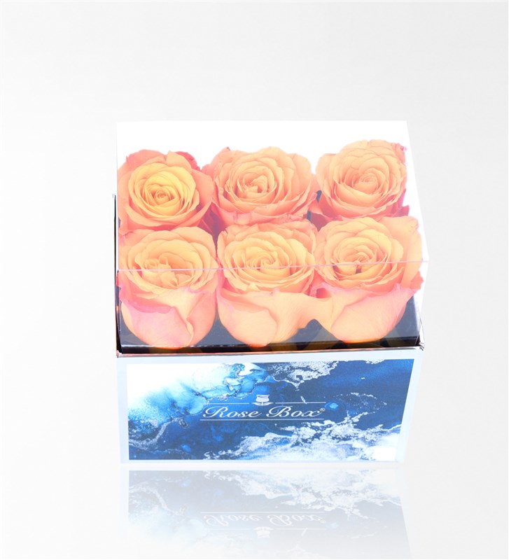 Aquamarine Midi Box with 6 Orange Roses