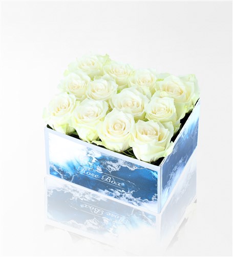 Aquamarine Maxi Box with 12 White Roses