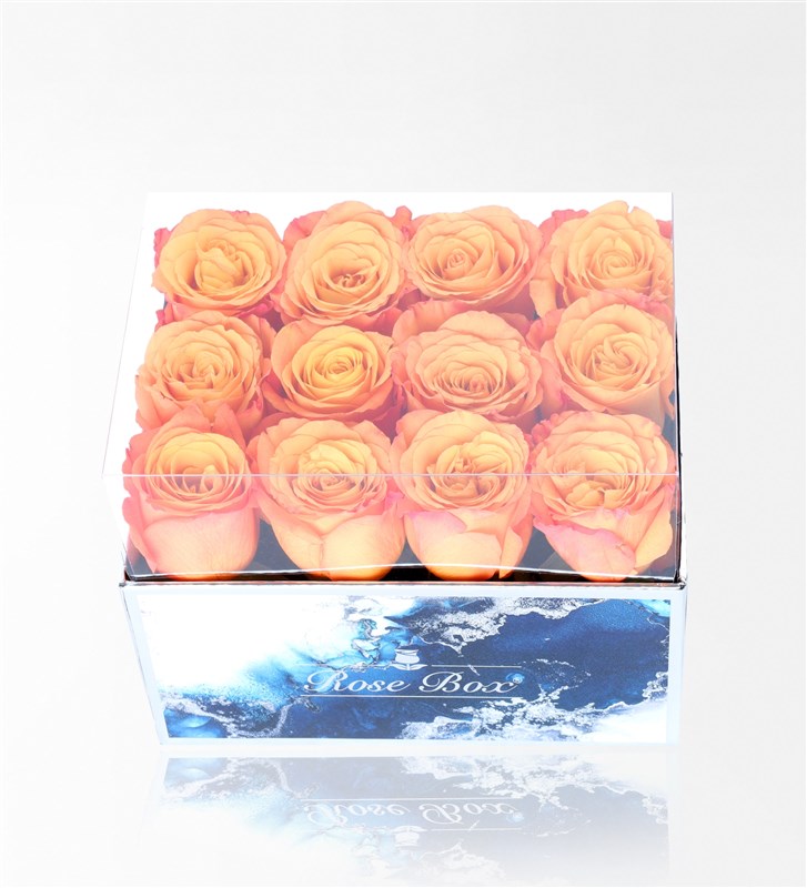 Aquamarine Maxi Box with 12 Orange Roses