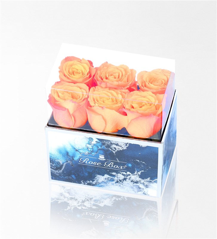 Aquamarine Midi Box with 6 Orange Roses