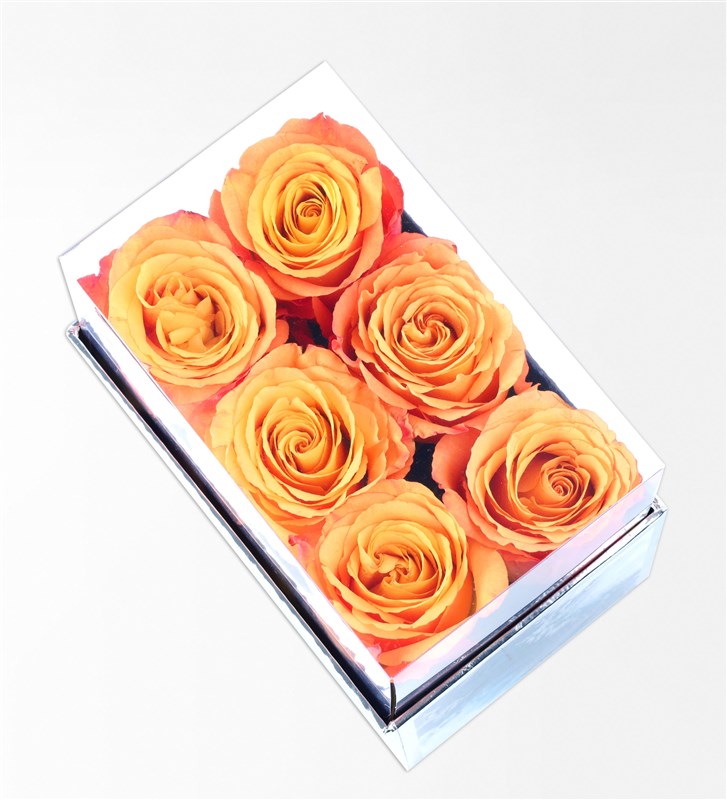 Aquamarine Midi Box with 6 Orange Roses